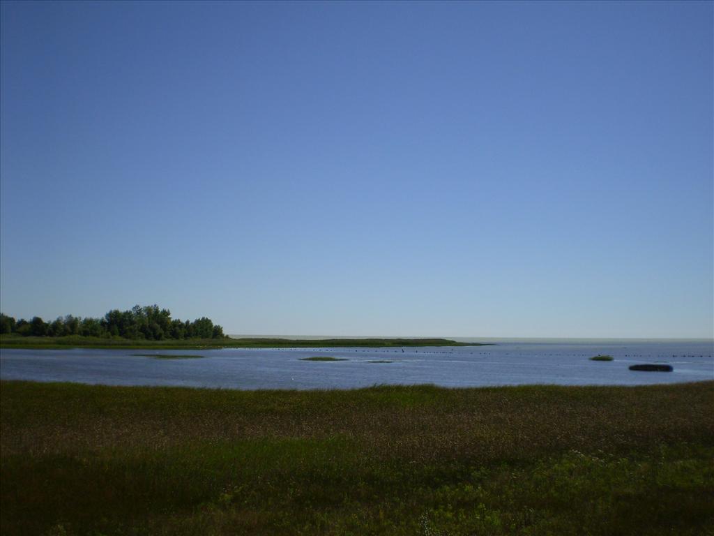 Park Photo Album